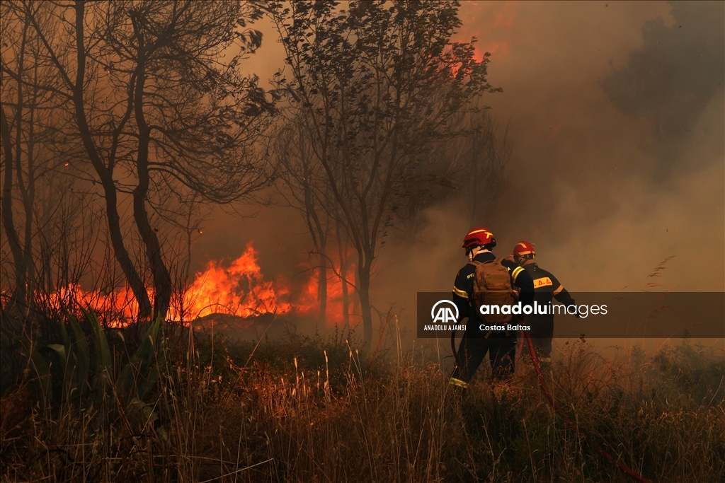Yunanistan'da orman yangınları