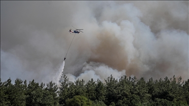 Bursa'da makilik alanda çıkan yangına müdahale ediliyor