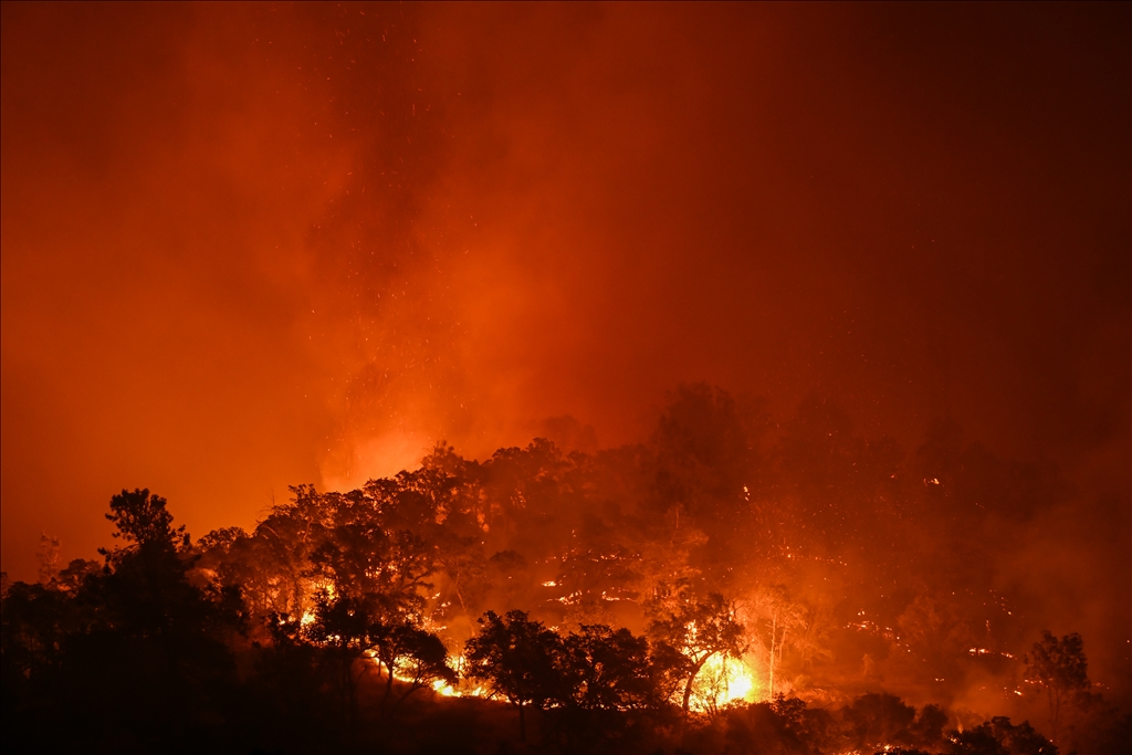 Thompson Fire: Wildfire in Butte County of California