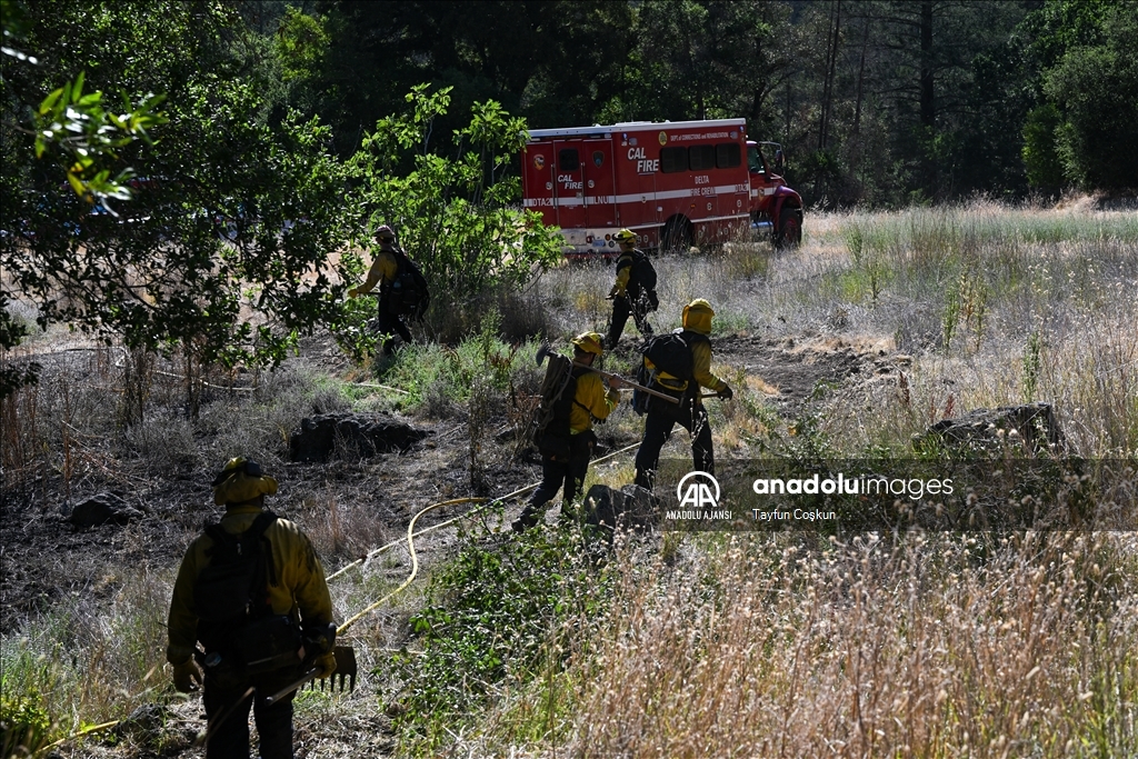 Kaliforniya'nın Napa bölgesinde orman yangını çıktı