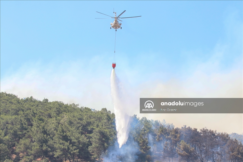 İzmir Bornova'da çıkan orman yangınına müdahale edildi