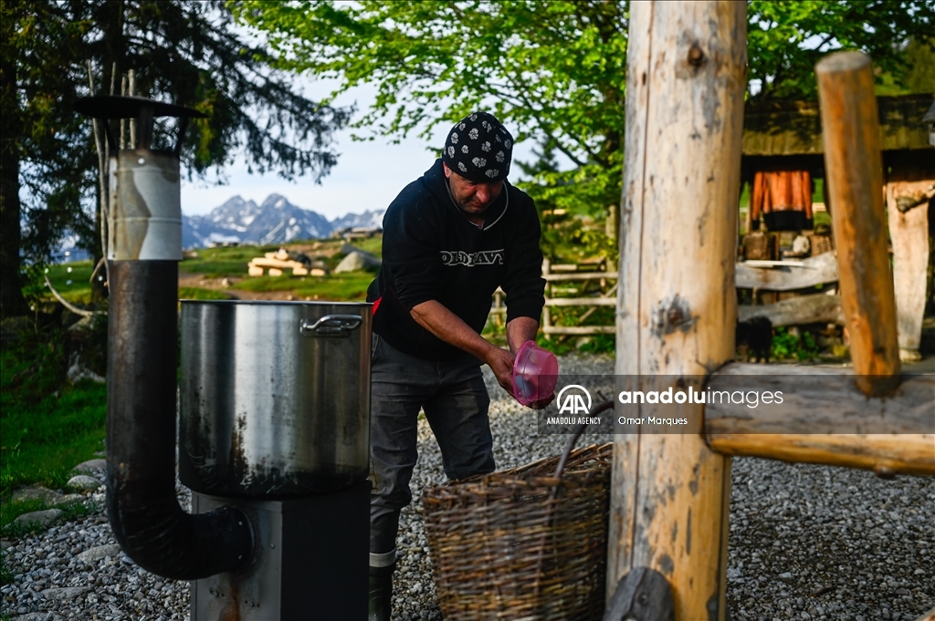 Poland's Cultural sheep grazing in Tatra Mountains