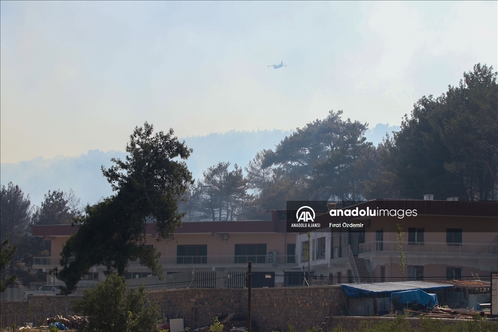İzmir Bornova'da çıkan orman yangınına müdahale ediliyor