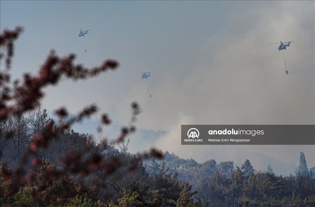 İzmir Bornova'da çıkan orman yangınına müdahale ediliyor