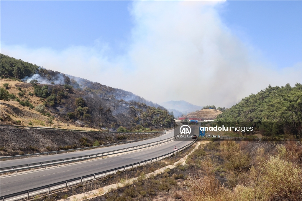 İzmir Bornova'da çıkan orman yangınına müdahale edildi