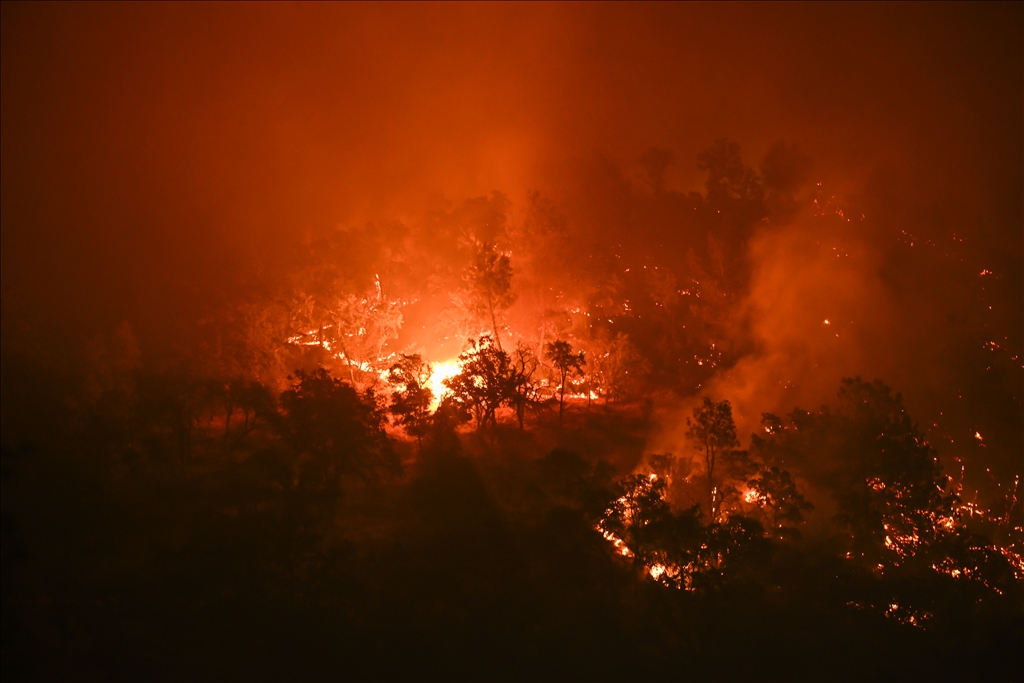Thompson Fire: Wildfire in Butte County of California