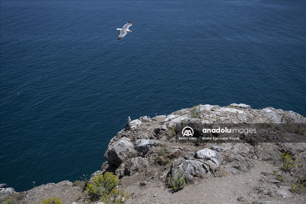 Van Gölü'ndeki Akdamar Adası