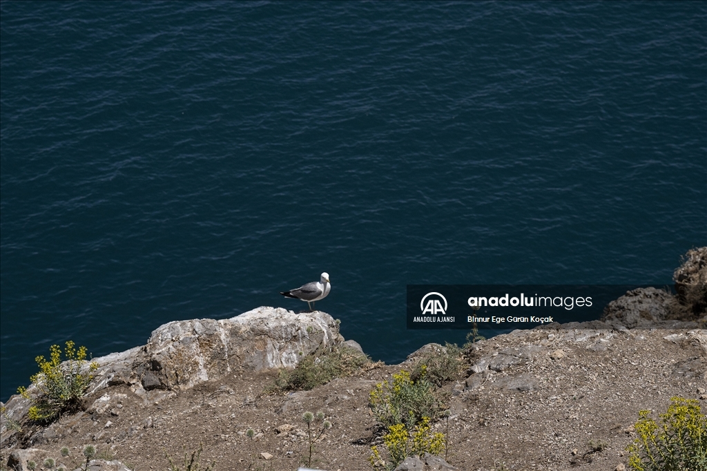 Van Gölü'ndeki Akdamar Adası