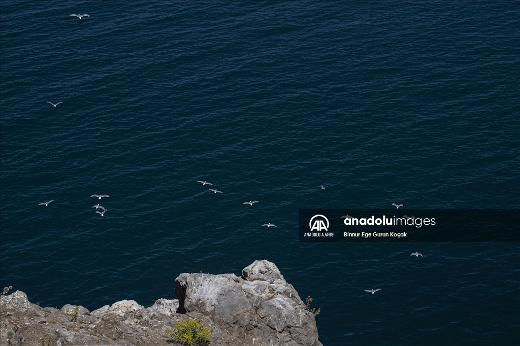 Van Gölü'ndeki Akdamar Adası