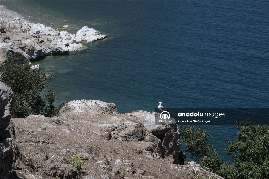 Van Gölü'ndeki Akdamar Adası