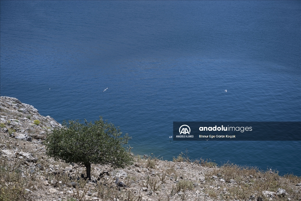 Van Gölü'ndeki Akdamar Adası