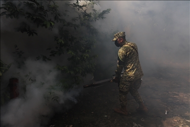 В Сальвадоре принимают меры для предотвращения лихорадки денге