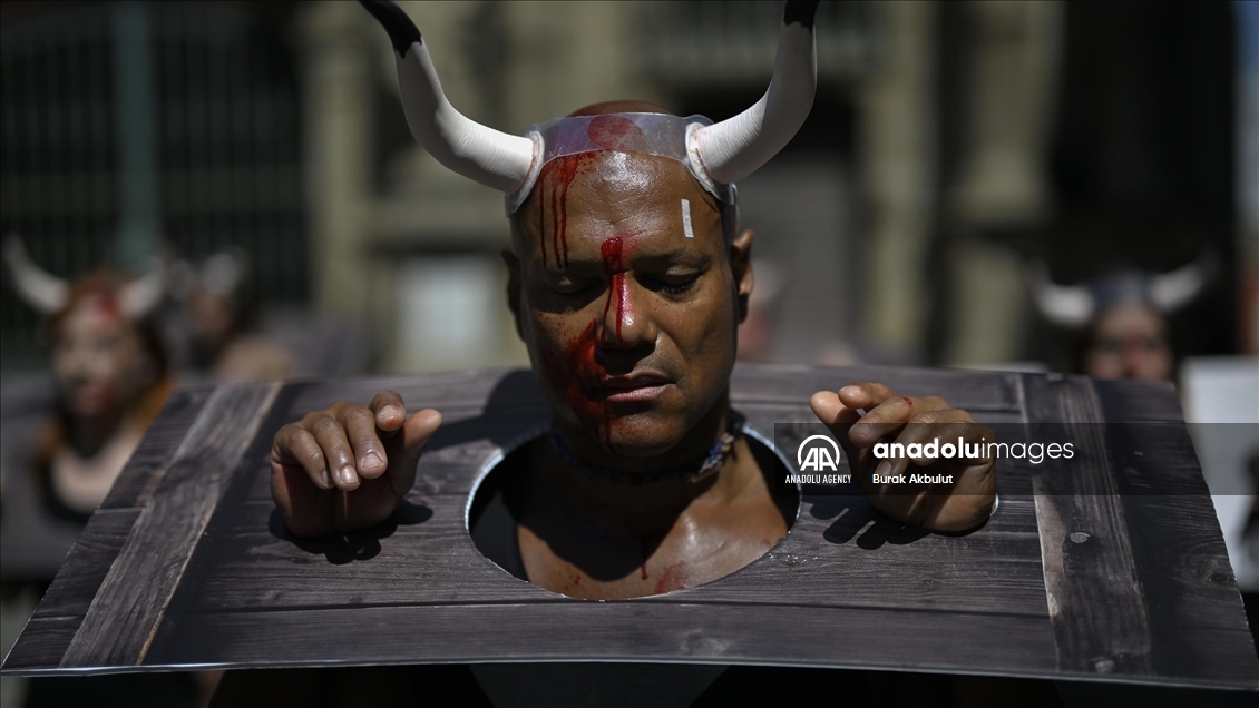 Anti bullfighting demonstrators in Spain protest before the San Fermin Festival