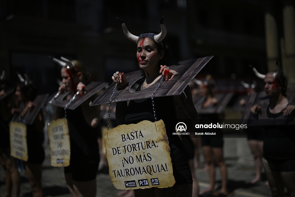 Anti bullfighting demonstrators in Spain protest before the San Fermin Festival
