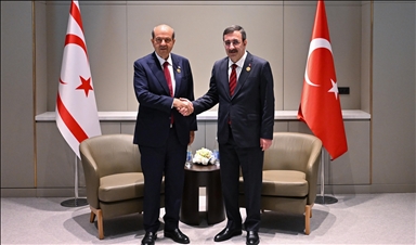 Türk Devletleri Teşkilatı Devlet Başkanları Gayriresmi Zirvesi