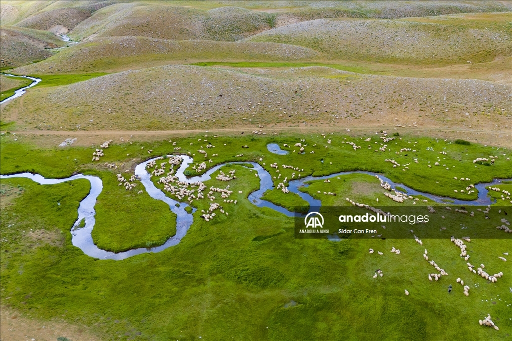 Tunceli'nin 3 bin rakımdaki göl ve menderesleri hayvancılığa hayat veriyor