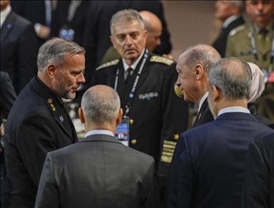Саммит глав государств и правительств стран- членов НАТО