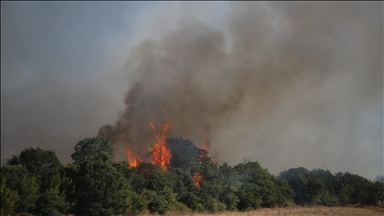 Çanakkale'de tarım arazisinde çıkıp ormanlık alana sıçrayan yangına müdahale ediliyor