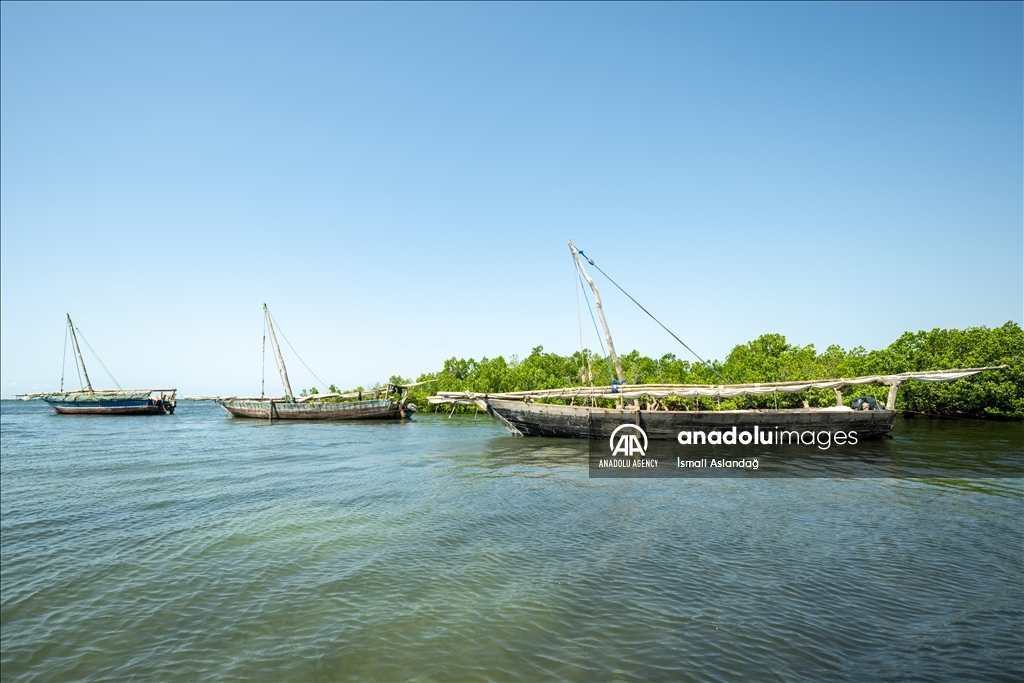 Cultural profession of Yambe Island: Boating