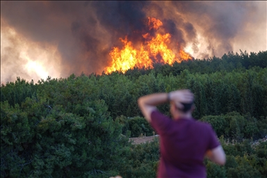 İzmir'deki orman yangınına müdahale sürüyor