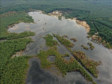 Polish Forest under water as former sand mine is flooded