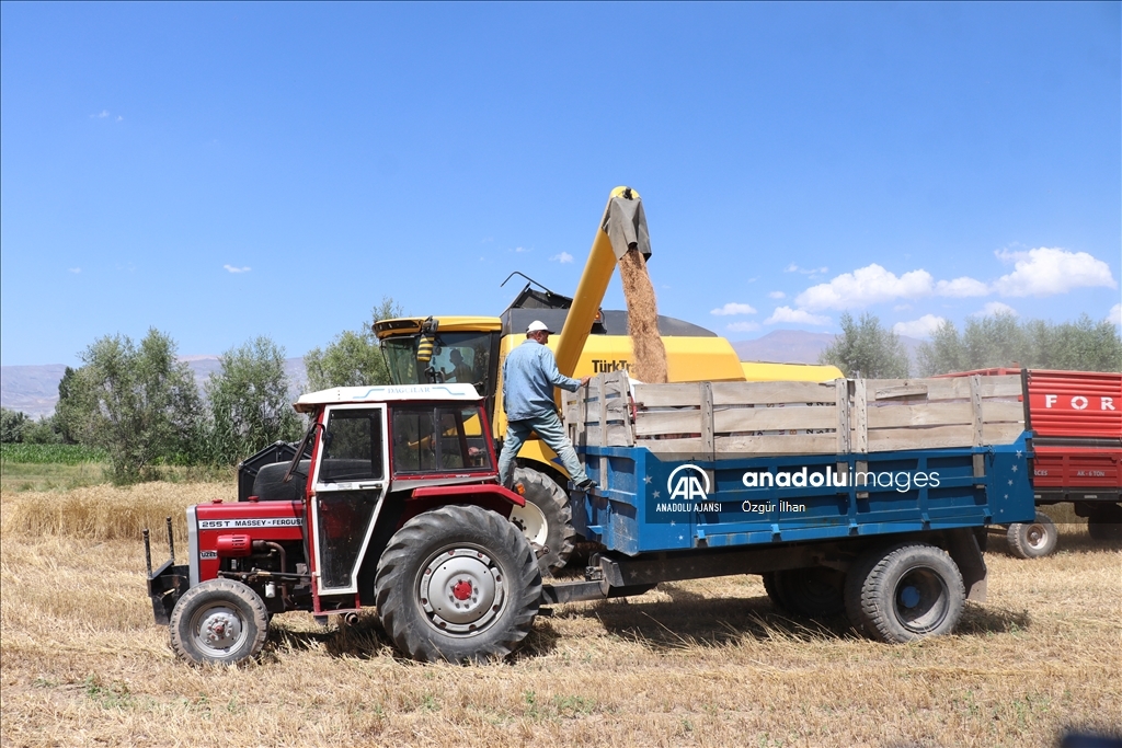 Modern tarım makineleri sayesinde Erzincan Ovası'nda hububat hasadı hızlandı