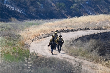 На Калифорнию обрушились лесные пожары