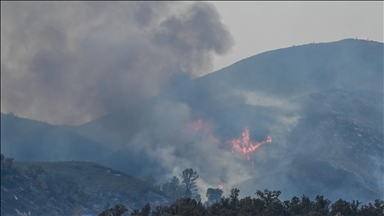 ABD'nin California eyaletindeki orman yangını
