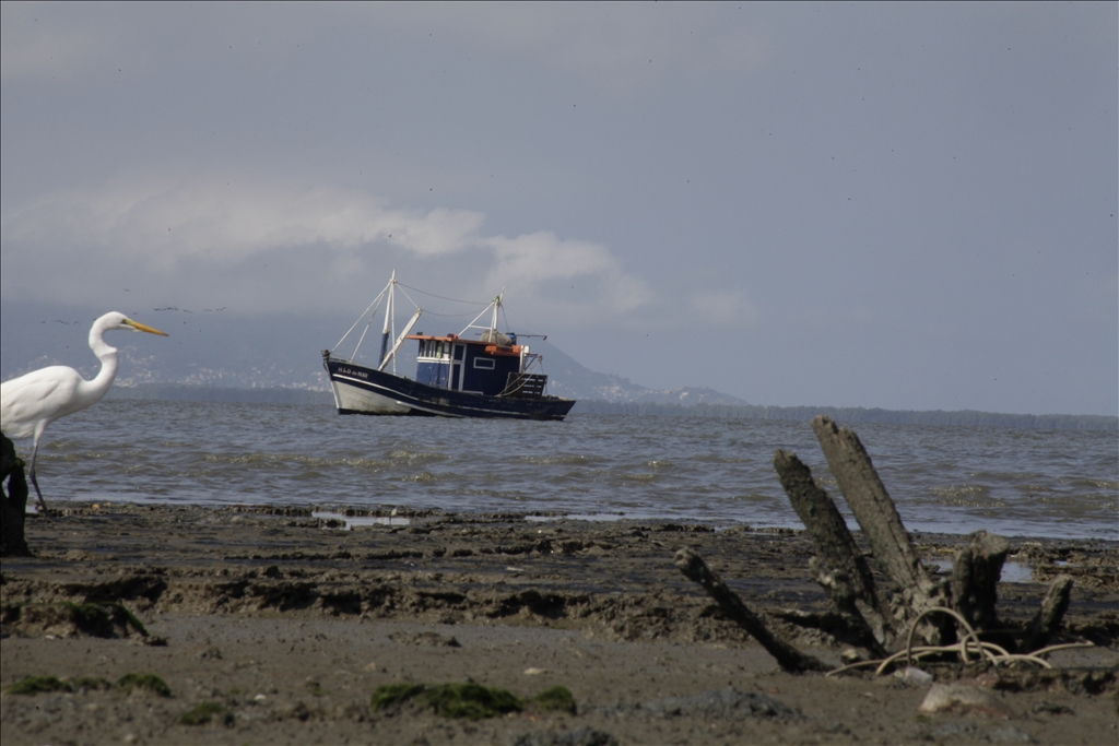 Ore pollution harms fishermen's lives at Sepetiba Bay in Rio de Janeiro