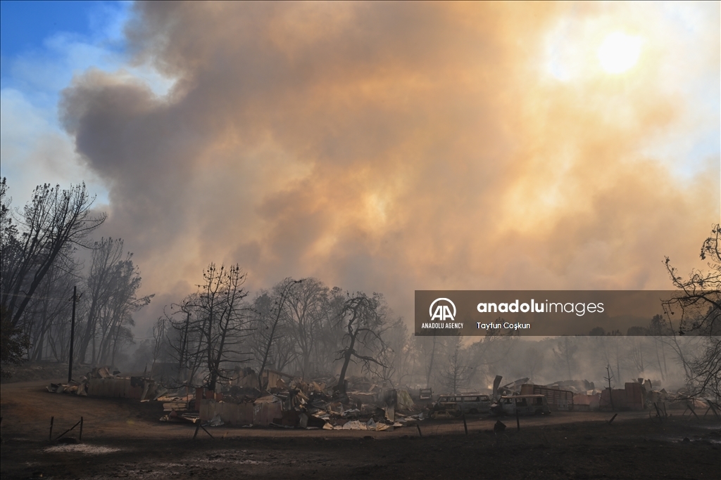 В Калифорнии продолжаются лесные пожары