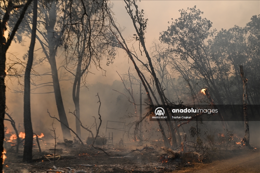 Park Fire: Wildfire in Chico of California