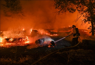 Park Fire: Wildfire in Chico of California
