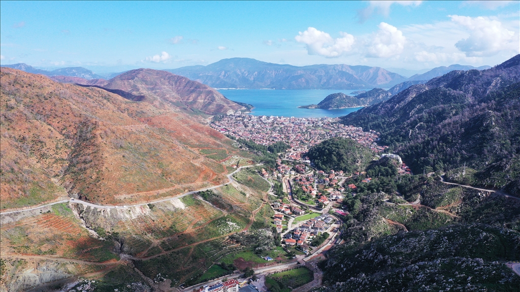 Muğla'da yanan ormanlık alanlar yeniden yeşeriyor