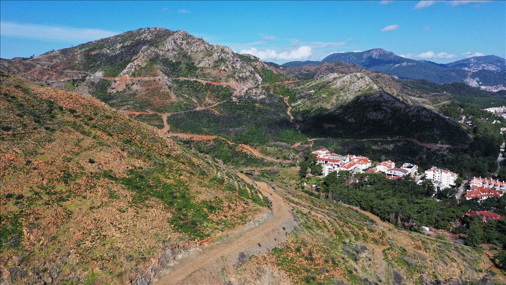 Muğla'da yanan ormanlık alanlar yeniden yeşeriyor