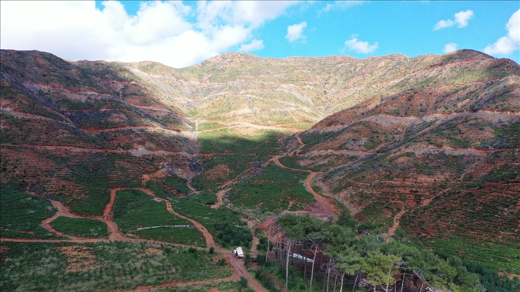 Muğla'da yanan ormanlık alanlar yeniden yeşeriyor
