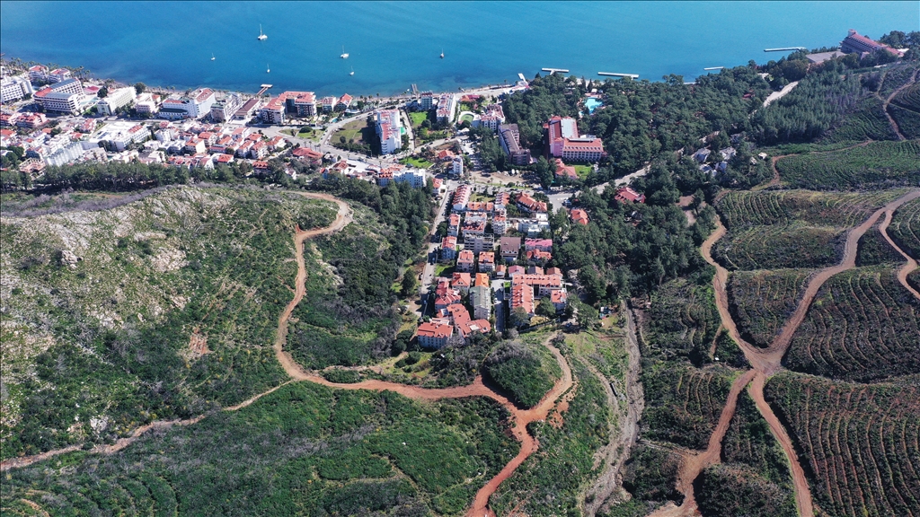 Muğla'da yanan ormanlık alanlar yeniden yeşeriyor