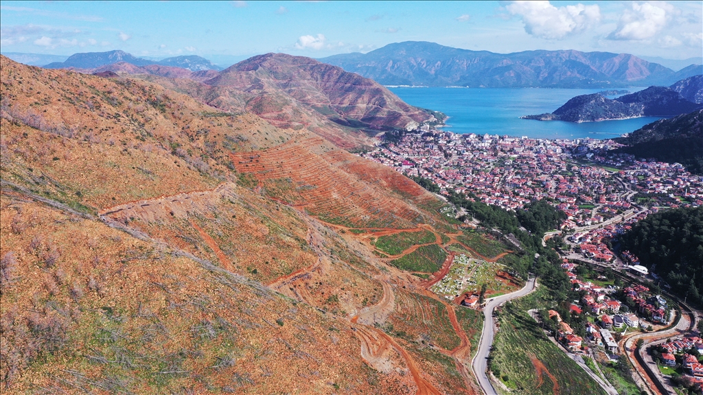 Muğla'da yanan ormanlık alanlar yeniden yeşeriyor