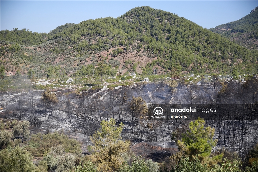 Antalya'da ormanlık alanda çıkan yangına müdahale edildi