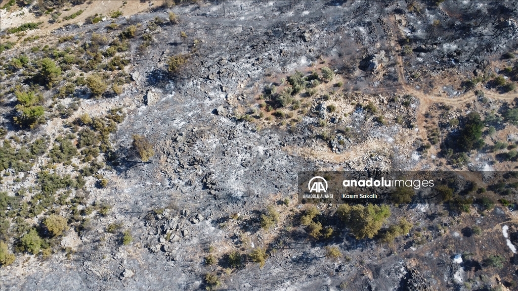 Antalya'da ormanlık alanda çıkan yangına müdahale sürüyor