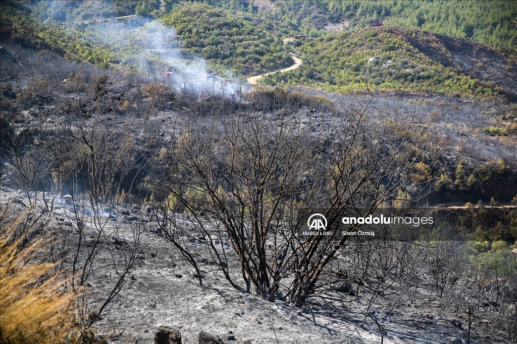 Antalya'da ormanlık alanda çıkan yangına müdahale edildi