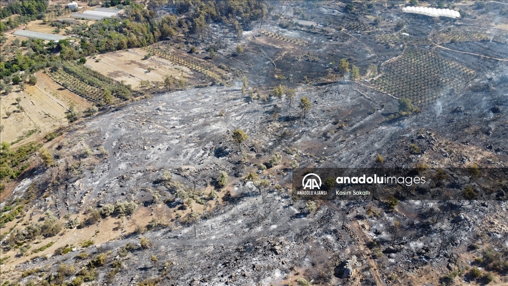 Antalya'da ormanlık alanda çıkan yangına müdahale sürüyor