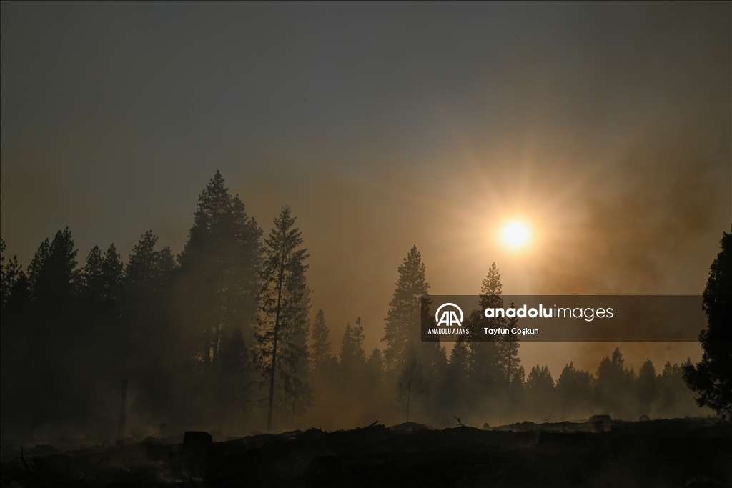 ABD'de 94 farklı bölgede çıkan orman yangınları sürüyor