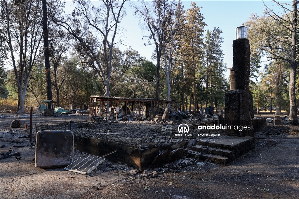 ABD'de 94 farklı bölgede çıkan orman yangınları sürüyor