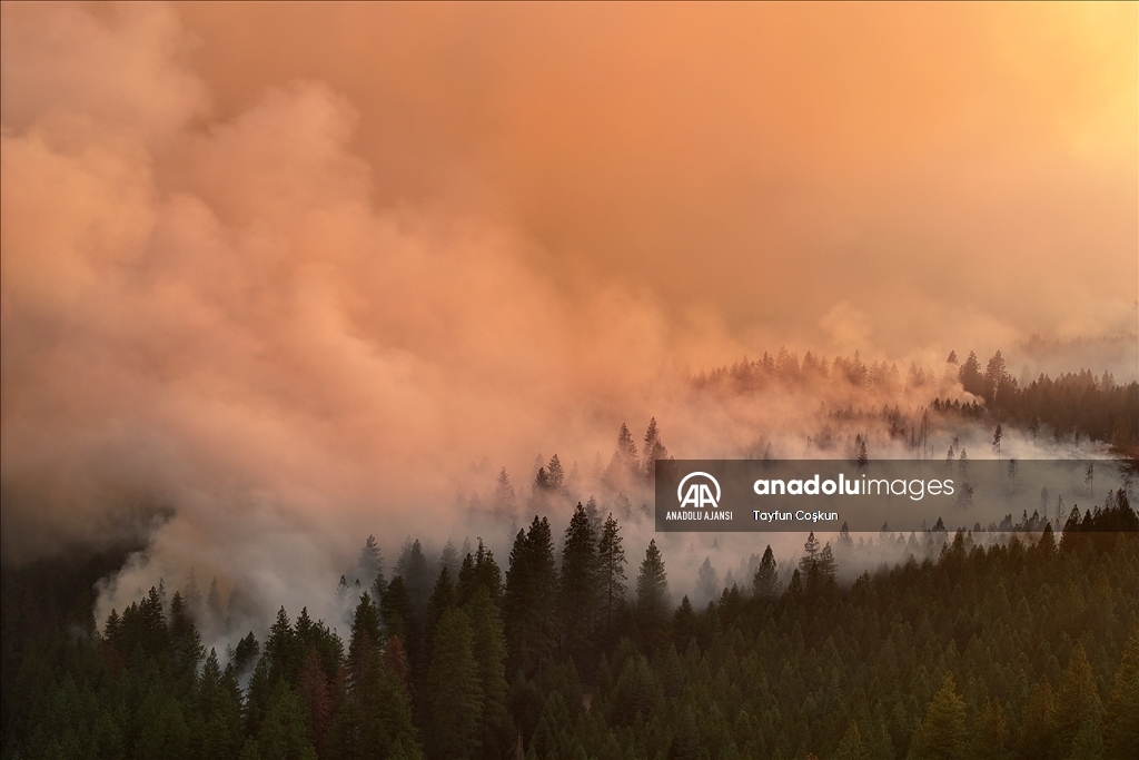 ABD'de 94 farklı bölgede çıkan orman yangınları sürüyor