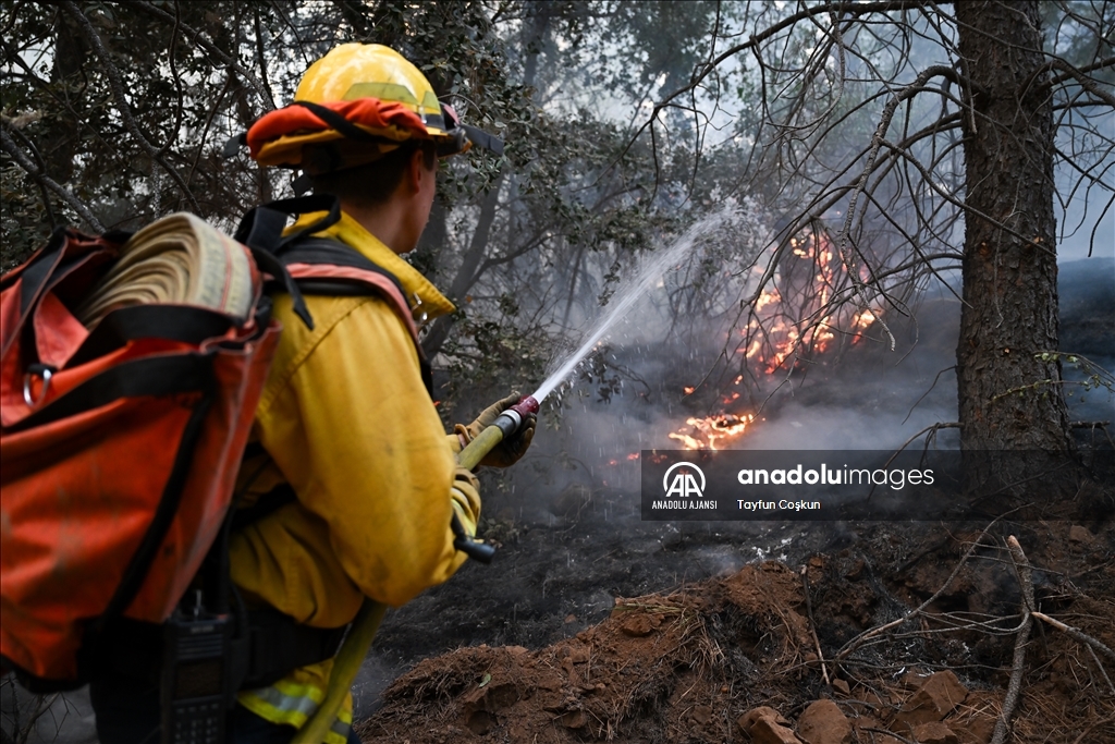 ABD'de 94 farklı bölgede çıkan orman yangınları sürüyor