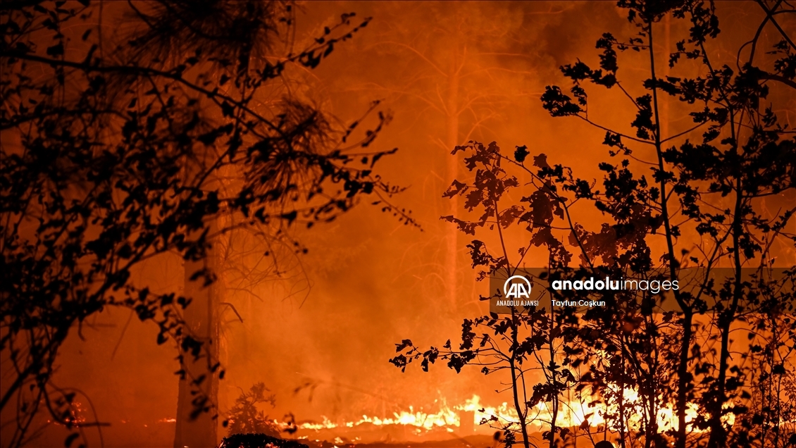 ABD'de 94 farklı bölgede çıkan orman yangınları sürüyor