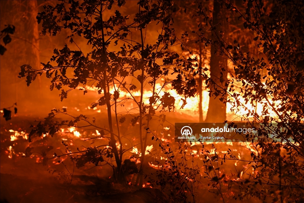 ABD'de 94 farklı bölgede çıkan orman yangınları sürüyor