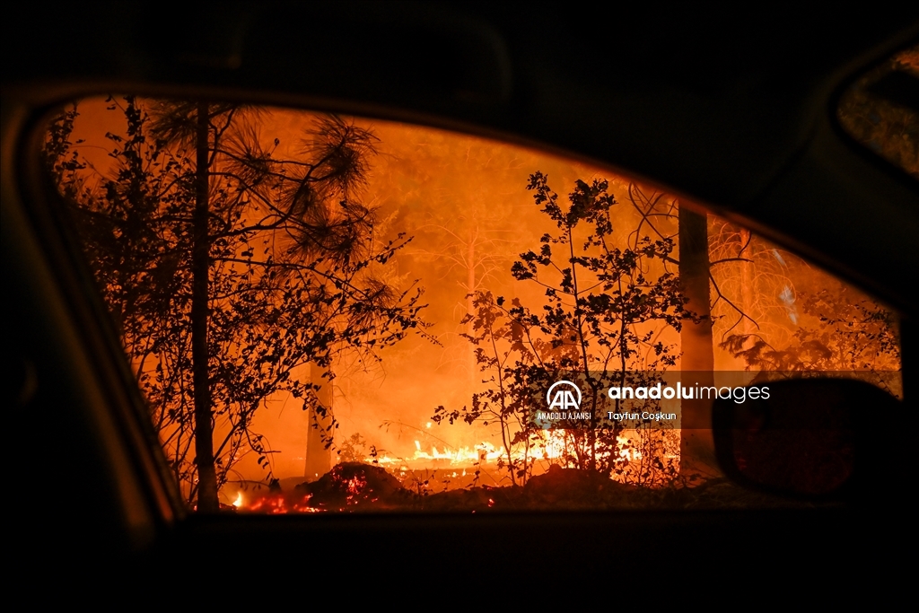 ABD'de 94 farklı bölgede çıkan orman yangınları sürüyor