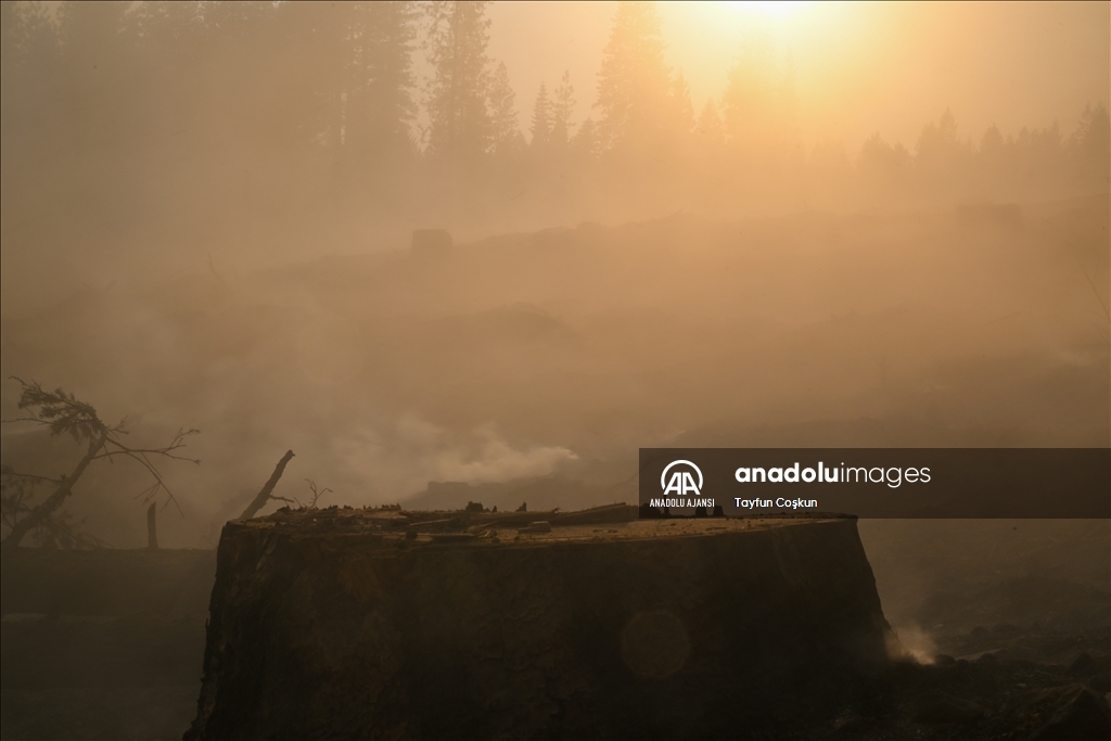 ABD'de 94 farklı bölgede çıkan orman yangınları sürüyor