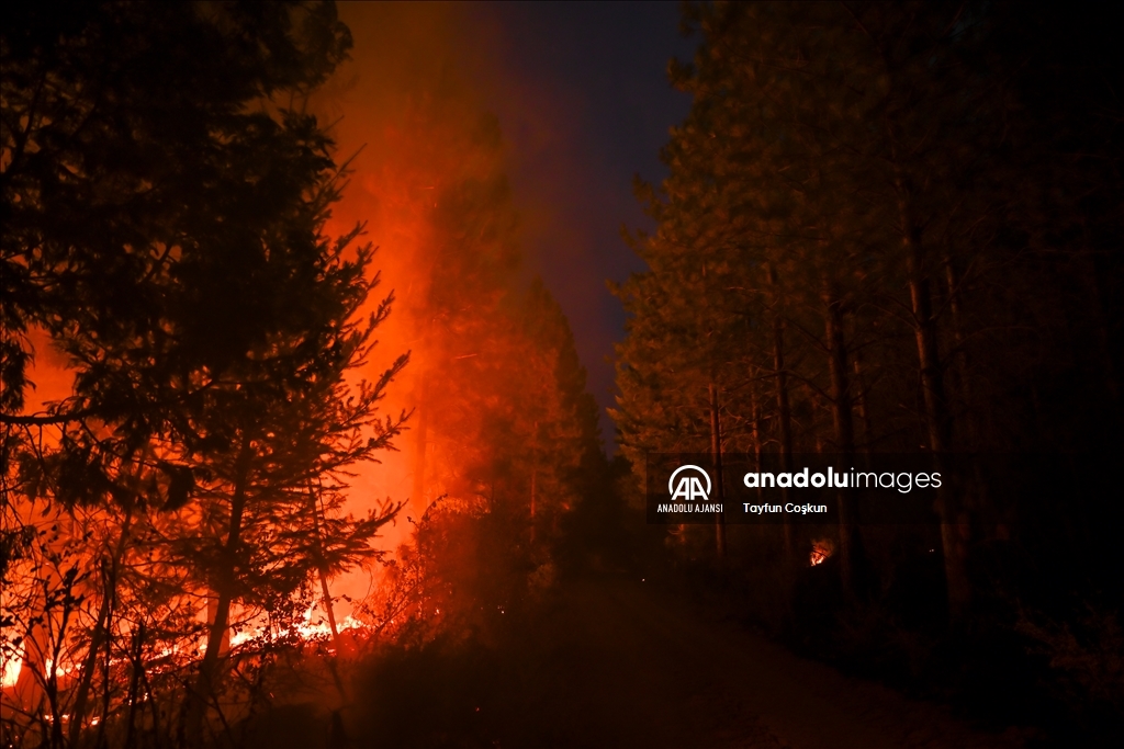 ABD'de 94 farklı bölgede çıkan orman yangınları sürüyor